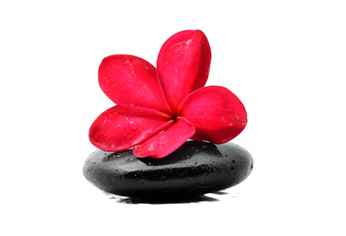 zen flower and stone
