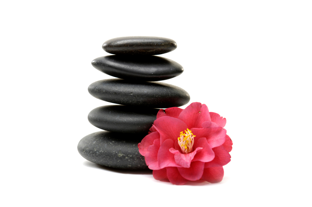 holistic flower and rocks
